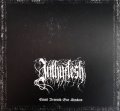 Inthyflesh - Crawl Beneath Our Shadow / DigiCD
