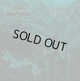 Malefice / Wewelssburg - Wir Kapitulieren Nie! / EP