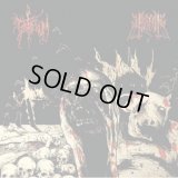 Halsfang / Pestiferum - Split / CD