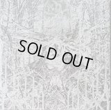 The True Werwolf - Devil Crisis / Gateford LP (Red/Clear swirl)