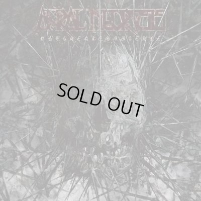 画像1: Akral Necrosis - The Greater Absence / CD