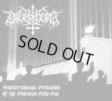 Wewelssburg - Subterranean Gestation of the Glorious New Era / DigiCD