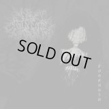 Niu de Corbs - Foscuria / DigiCD