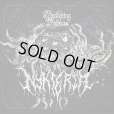 Nykteria - Wandering Madness / CD