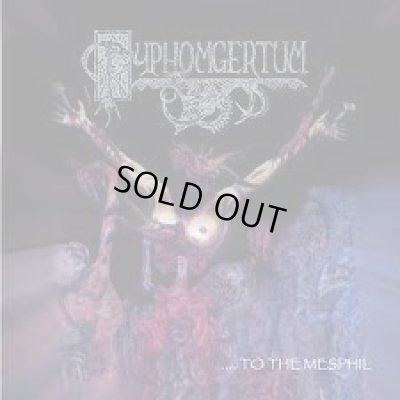 画像1: Pyphomgertum - ....to the Mesphil / The Dark Light / CD