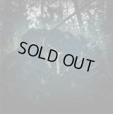 Aukels - Raynkaym / CD