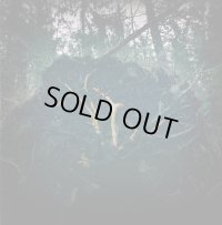 Aukels - Raynkaym / CD