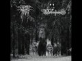 Hatefrost / Wolfenburg - Tesknota przeszlych czasow / CD