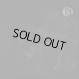 Ruin Lust - Ruin Lust / CD