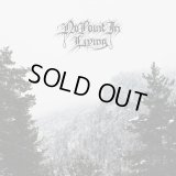 No Point in Living - Snowstorm / ProCD-R