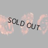 Deathspell Omega - Kenose / LP