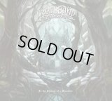 Trollband - In the Shadow of a Mountain / DigiCD