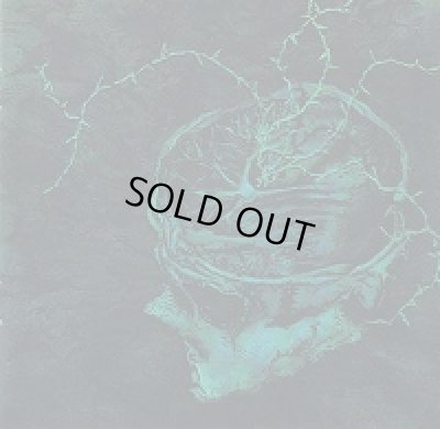 画像1: Nachtmystium - Instinct: Decay / CD