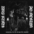 Stnzr Cult / Ad Mortem - Ceremonies for the Apocalyptic Idolatry / CD