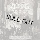 Wendol - Magister Secretum / ProCD-R