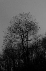 Heilnoz - Heilnoz / Tape
