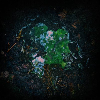 画像1: Aukels - Ebwaidilisna / CD
