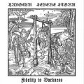 Havocum / Severe Storm - Fidelity to Darkness / CD