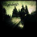 As Darkness Fell - Below the Fog / CD