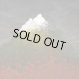 Obsar - Pocornily hory, pocornily lisy / DigiCD