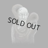 Thy Black Blood - The Rise of the Misanthrope / DigiCD