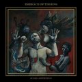 Embrace of Thorns - Scorn Aesthetics / CD