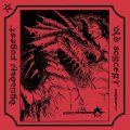 Druadan Forest / Old Sorcery - Split / CD