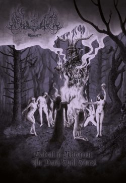 画像1: Spell Forest - Cadent in Aeternum: The Dark Spell Forest / A5DigiCD