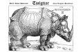 Tjolgtjar - Black Rhino Holocaust / Nuun Raaguun Skuulkuun / ProTape
