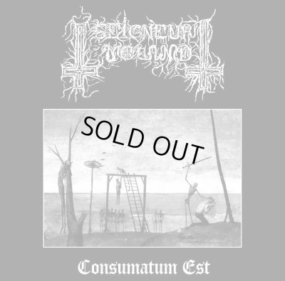 画像1: Seigneur Voland - Consumatum Est / PictureLP