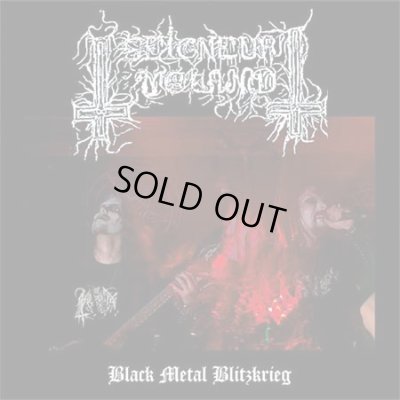 画像1: Seigneur Voland - Black Metal Blitzkrieg / PictureLP