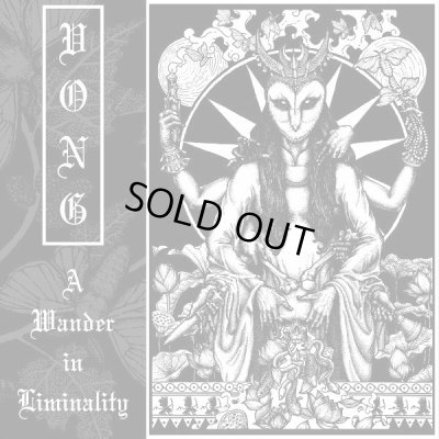 画像1: Vong - A Wander in Liminality (Definitive Edition) / CD