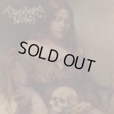 Cemetery Lights - Consumption / CD