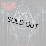 Profane Order - One Nightmare unto Another / CD