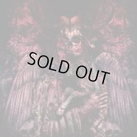 Bane - The Acausal Fire / DigiCD