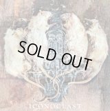 White Death - Iconoclast / CD