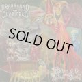 Drawn and Quartered - Return of the Black Death / CD