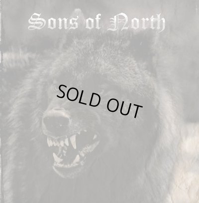 画像1: Sons of the North - Sons of the North / CD