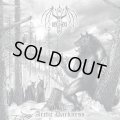 Black Beast - Arctic Darkness / CD
