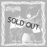 Czarnobog / Immortal Forest - Into the Sarmatian Forest / The Marching of Treemen / CD