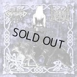 Betula / Grimwald - Ancient Rawness and Forgotten Paths / CD