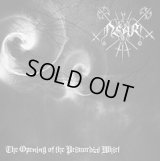 Near - The Opening of the Primordial Whirl / CD