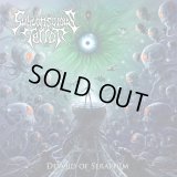Subconscious Terror - Devoid of Seraphim / CD
