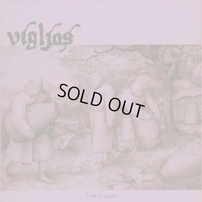 画像1: Vigljos - Tome I: Apidae / DigiCD