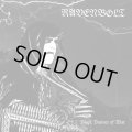 Ravenbolt - Black Banner of War / CD