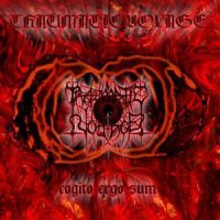 Traumatic Voyage - Cogito Ergo Sum / CD