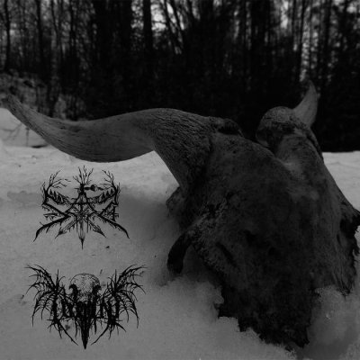 画像1: SAD / IVVIIV - Split / 10LP