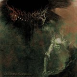 Dizziness - Abhorrent Flickering of Obscurity / CD