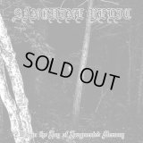 Sanguine Relic - Within the Fog of Fragmented Memory / CD