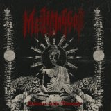 Methmaggot - Guidance from Madness / CD